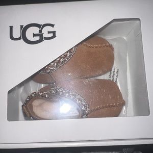 BABY TASMAN (Chestnut )